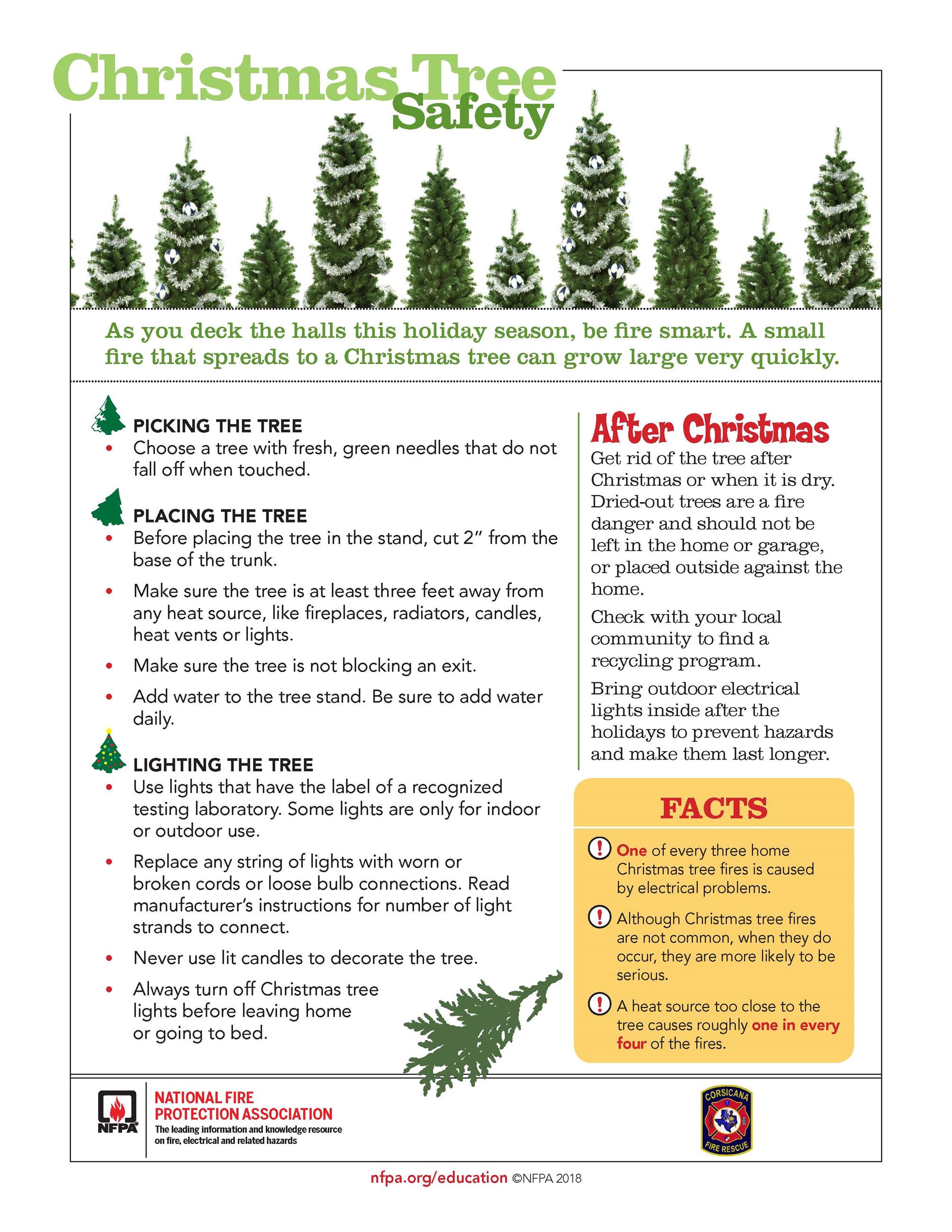 NFPA Christmas Tree Safety Tips
